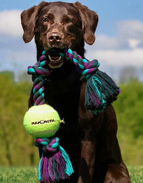 Load image into Gallery viewer, Flossy Chews Cottonblend 3 Knot Tug Rope Dog Toy with 3” Tennis Ball, Medium 20", Assorted Colors
